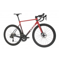 DIZO Ourea Carbon Bike Red