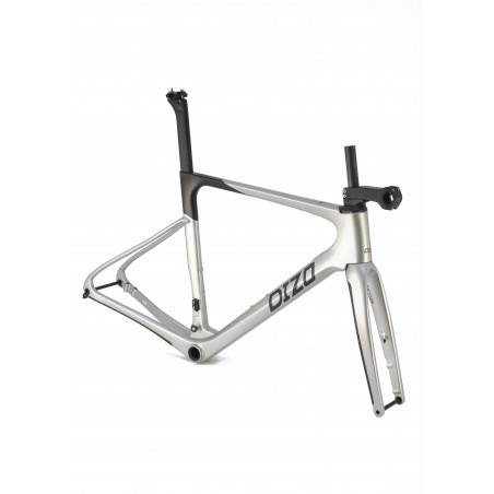 DIZO Actus Carbon Frameset Silver